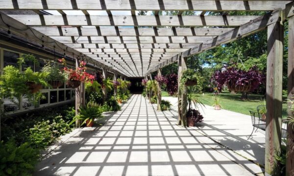 호주 테라스를 위한 야외 Pergola 업그레이드 – 건축하기 전에 계획해야 할 사항
